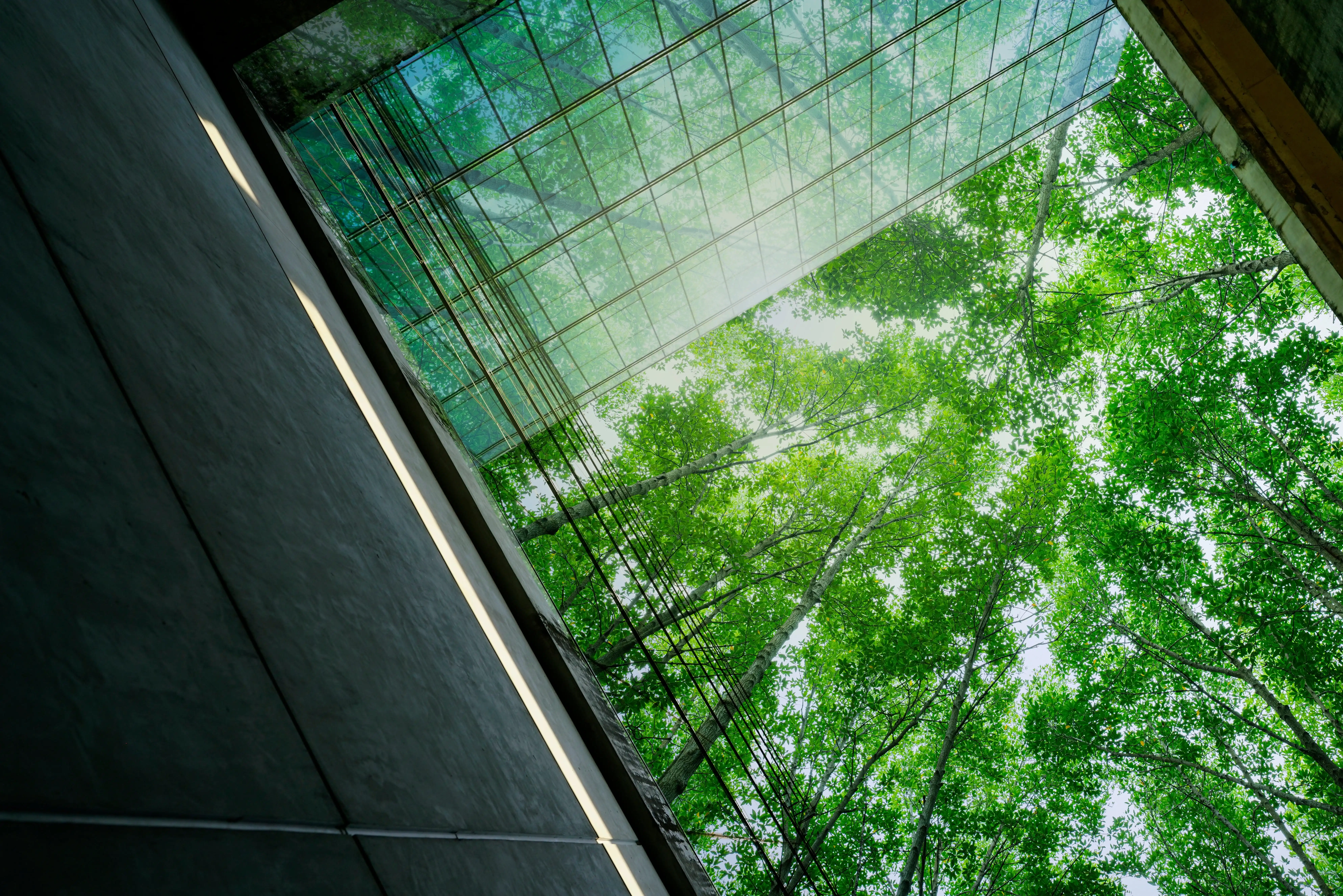 Reaching Hard-to-Access Stakeholders in a Highly Regulated Vertical